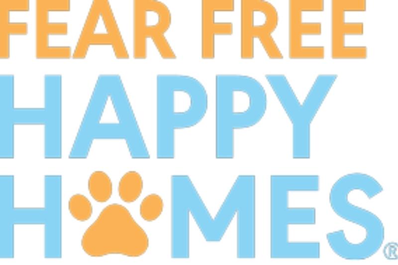 Fear Free Vet Visits Feline veterinary care